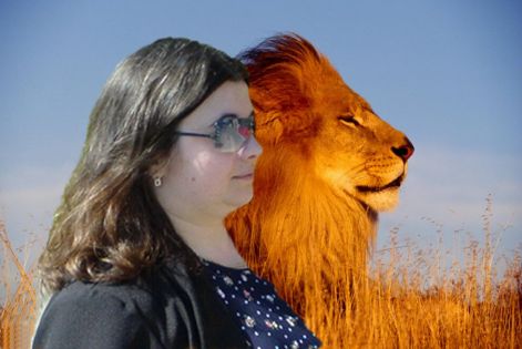 masuci_lion.jpg